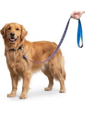Best Brands Marvel Spider-Man 43in Long x .75in Wide Dog Leash With Metal Clip
